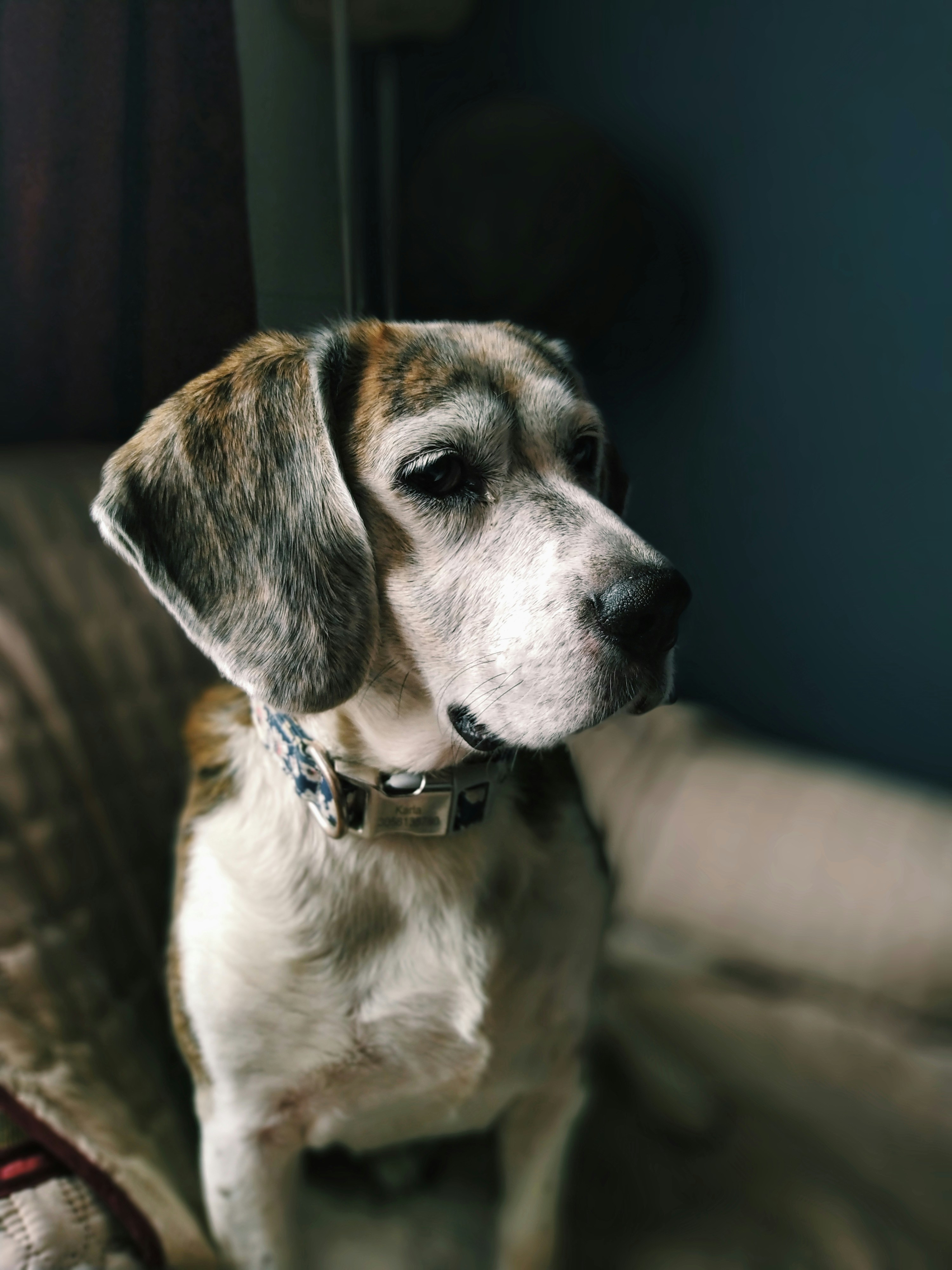 Photo by castillo_camilo