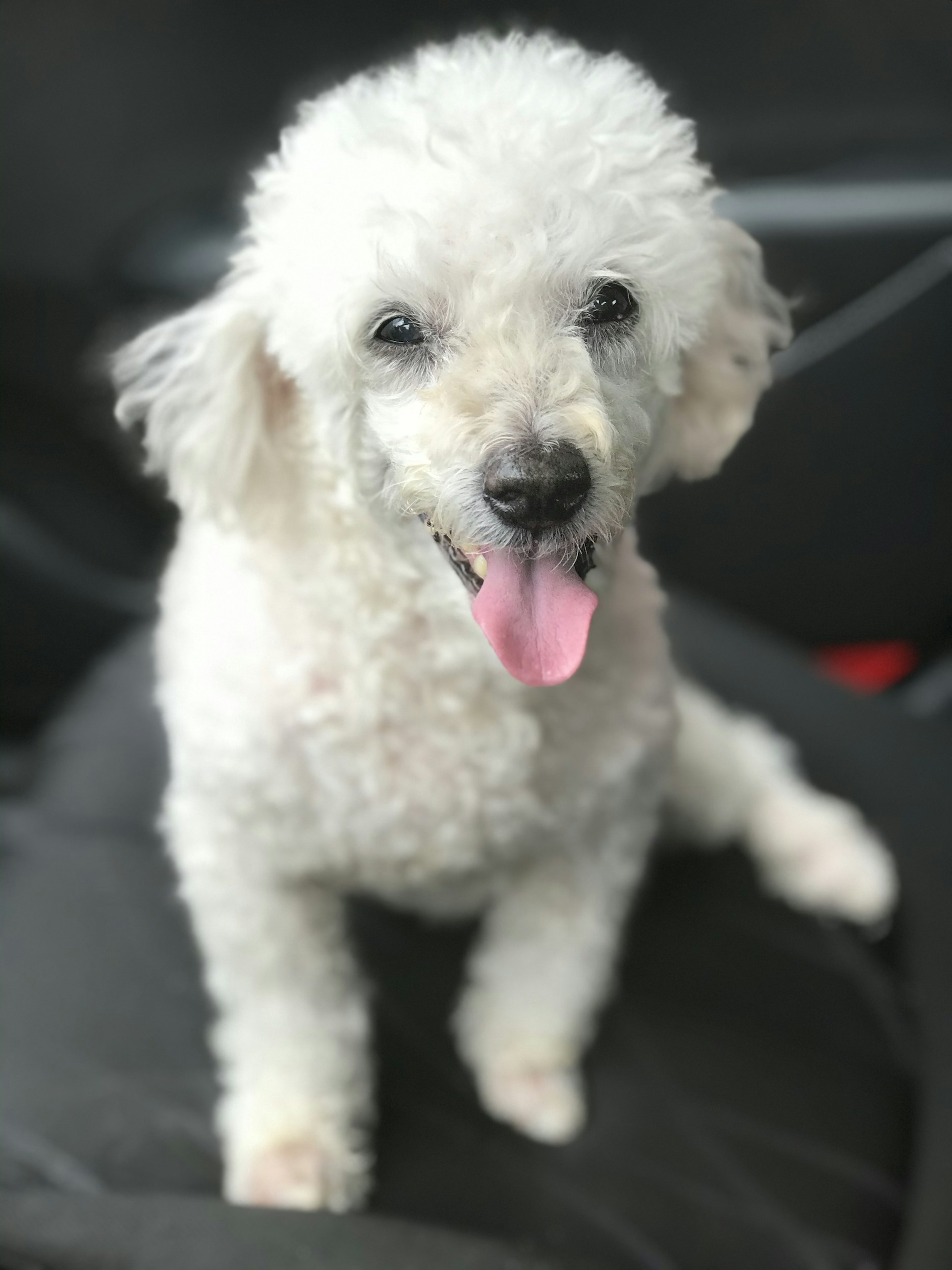 gray computer monitor