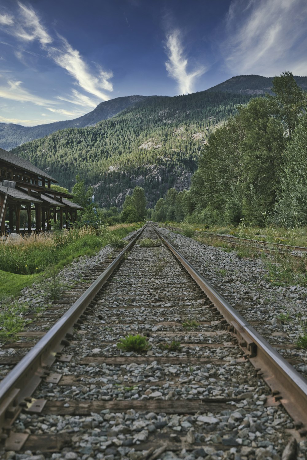 brown wooden train rail near green trees and mountain during daytime