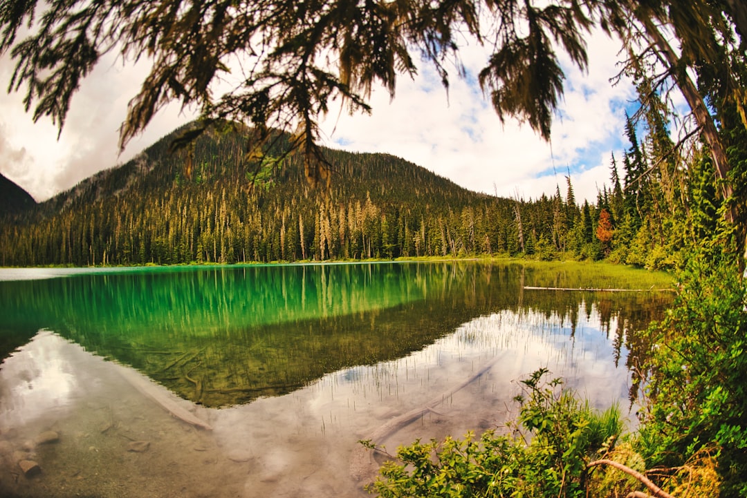 Nature reserve photo spot Joffre Lakes Trail One mile lake