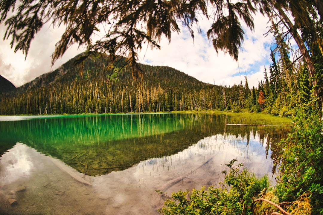 Nature reserve photo spot Joffre Lakes Trail British Columbia
