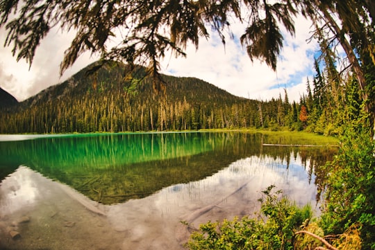 green trees beside lake under blue sky during daytime in Joffre Lakes Provincial Park Canada