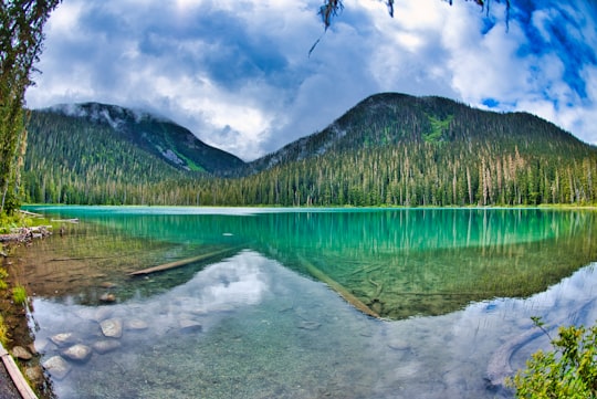 green trees near lake under cloudy sky during daytime in Joffre Lakes Provincial Park Canada