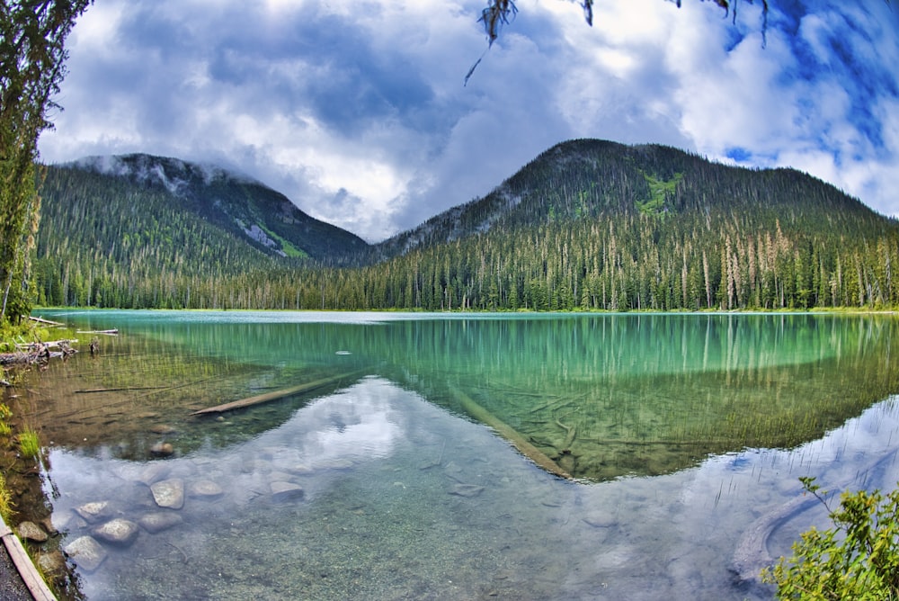 green trees near lake under cloudy sky during daytime