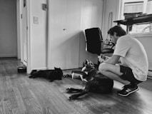 man in white t-shirt sitting beside black short coated dog