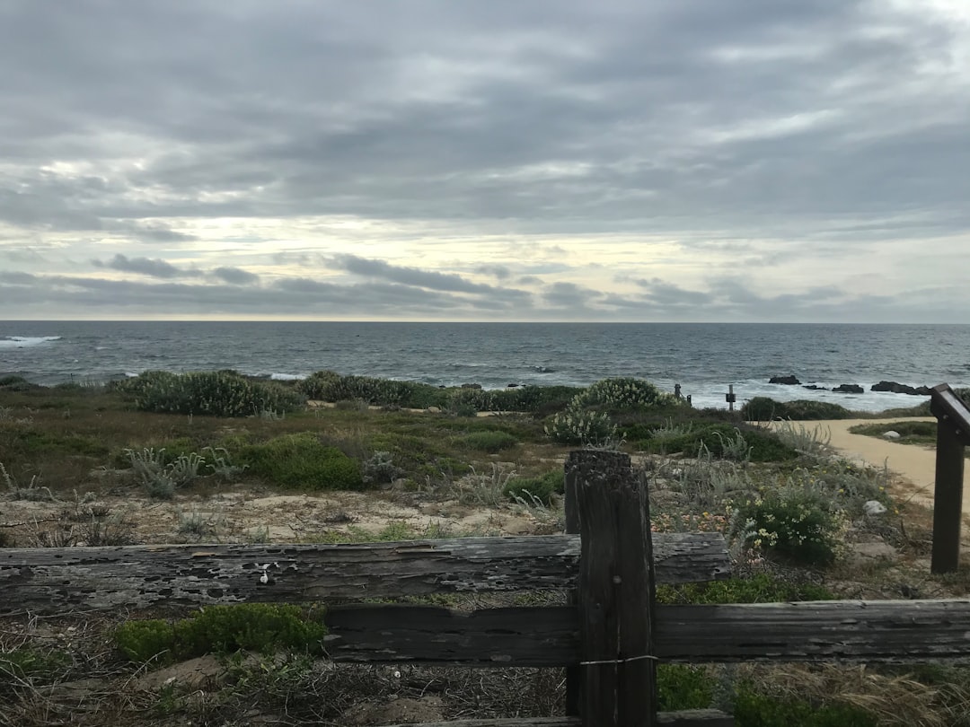 Shore photo spot 1670–1678 Sunset Dr Pebble Beach