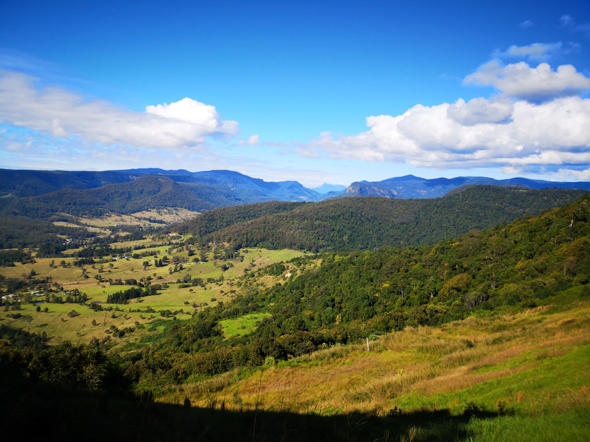 Lamington National Park — green mountains