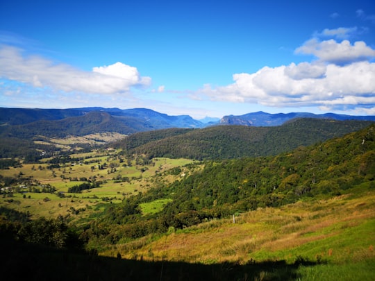 Lamington National Park things to do in Natural Bridge Queensland