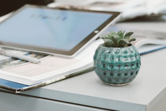 green plant in blue ceramic vase