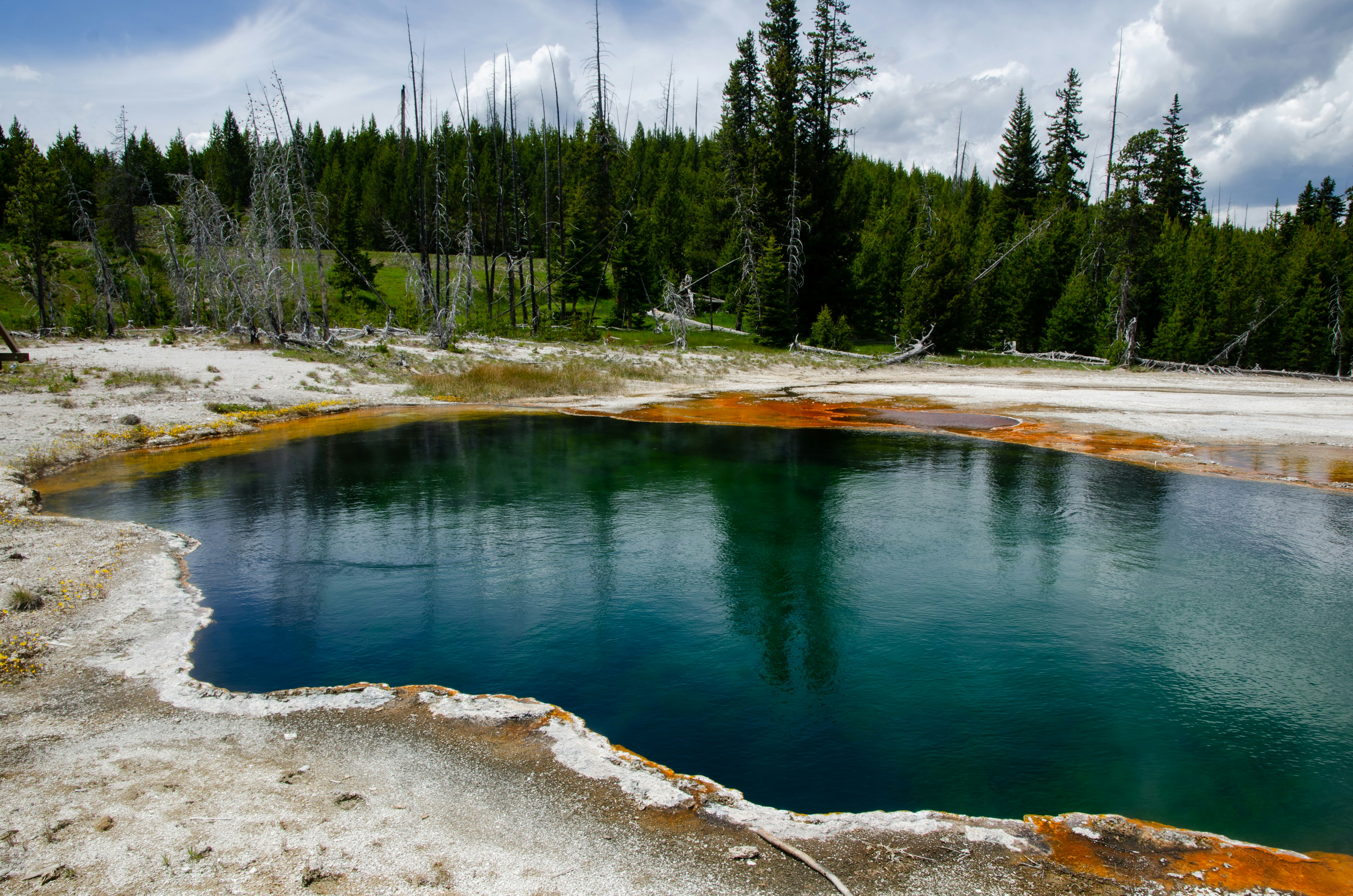 Photo by balderromey