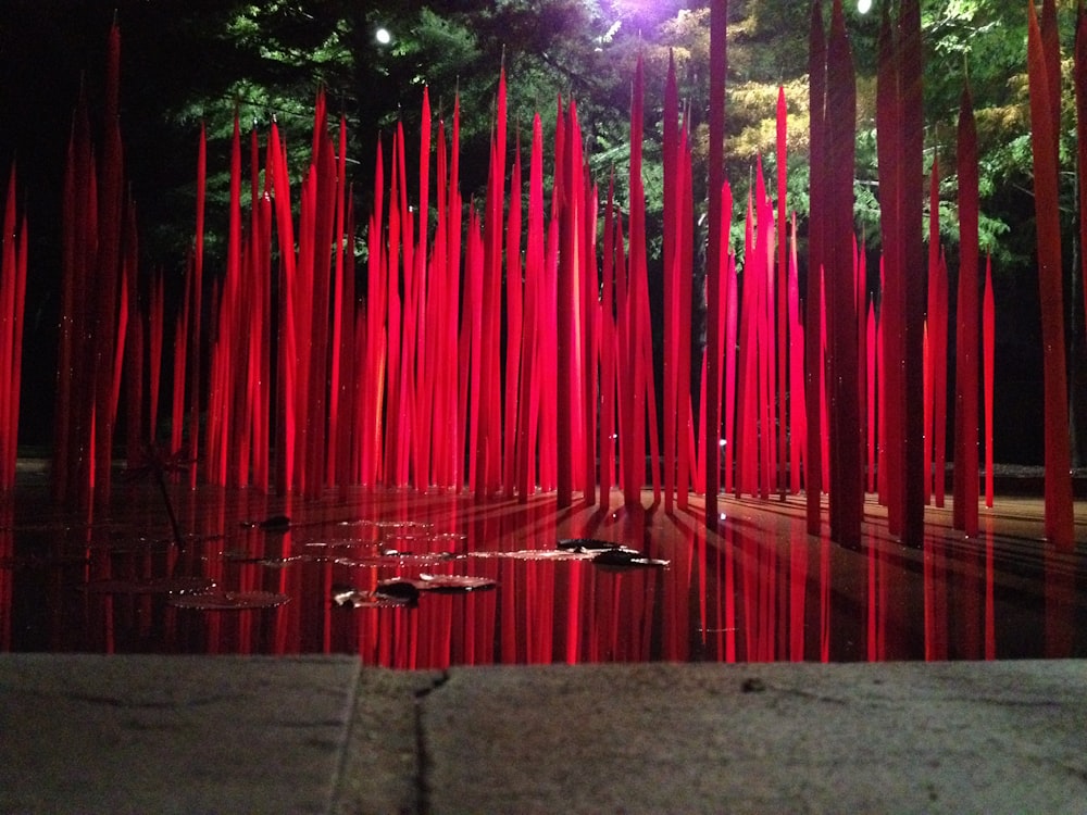 luzes de corda rosa em árvores durante a noite