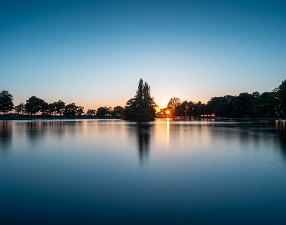 body of water near trees during night time