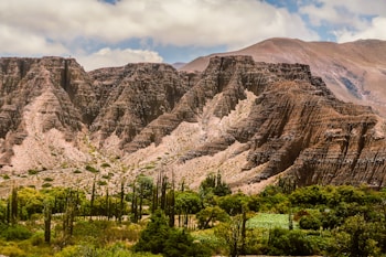 A rugged mountain landscape with steep, eroded cliffs towering over lush green vegetation in the foreground. The mountains have a textured appearance with distinct layers of rock, and sparse vegetation contrasts against the rich earth tones. The sky above is partly cloudy, adding to the dramatic and natural scenery.