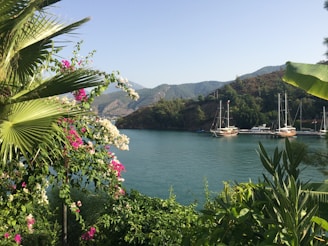 white boat on body of water near mountain during daytime