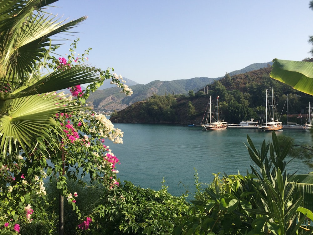 white boat on body of water near mountain during daytime