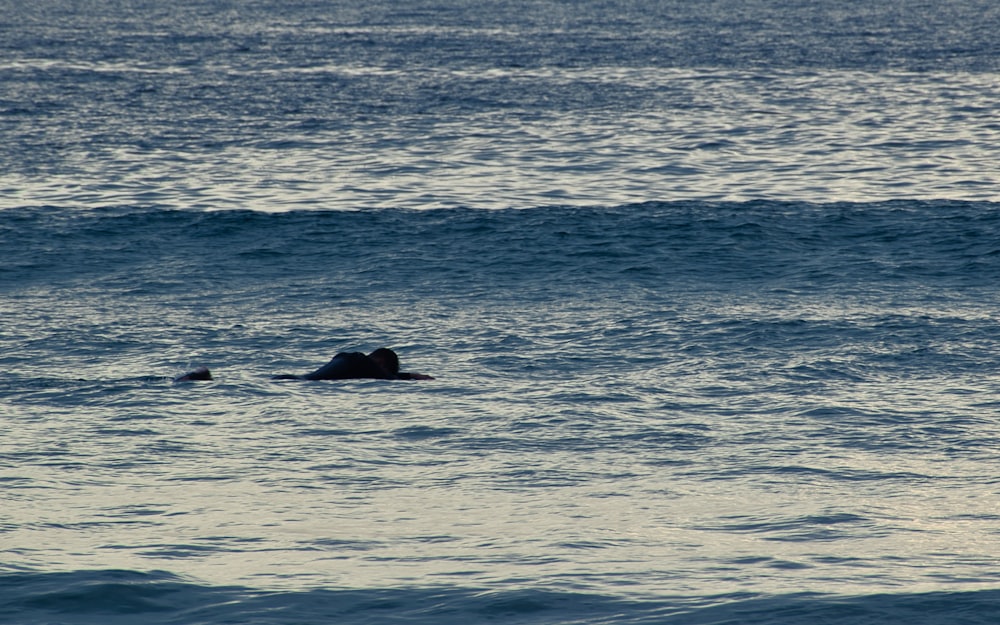 man swimming on sea during daytime