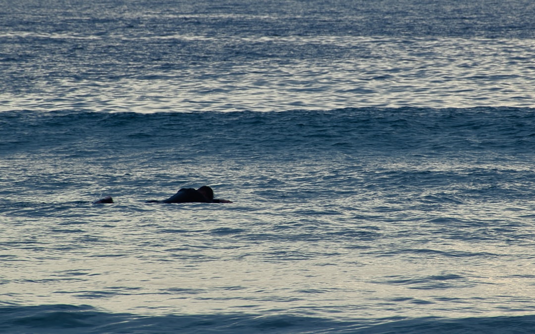 Ocean photo spot Vila do Conde Arcozelo