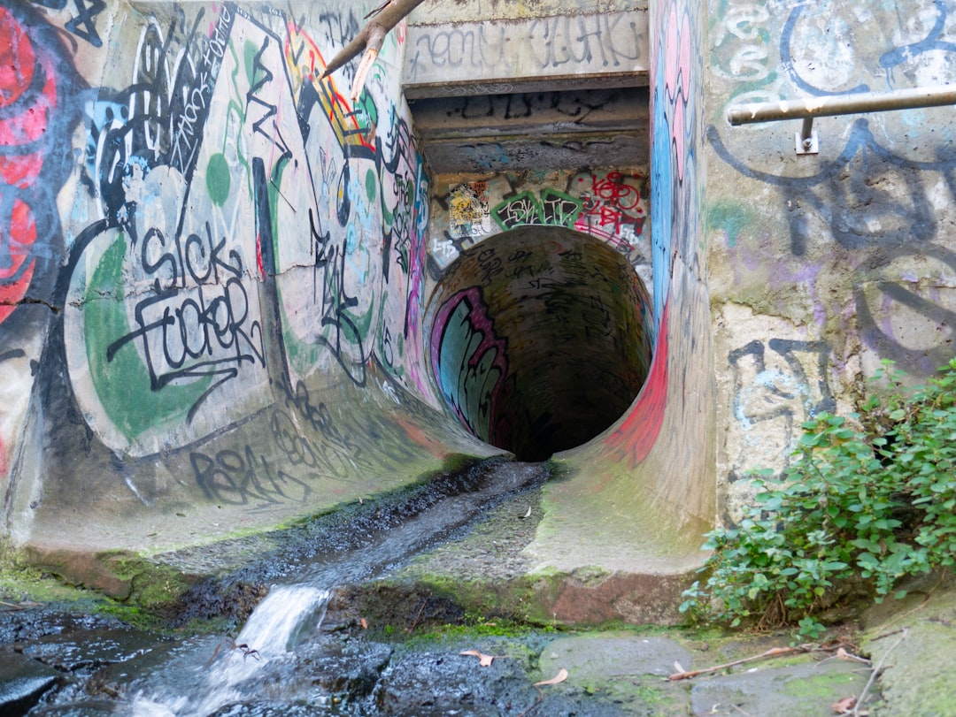 brown wooden tunnel with graffiti