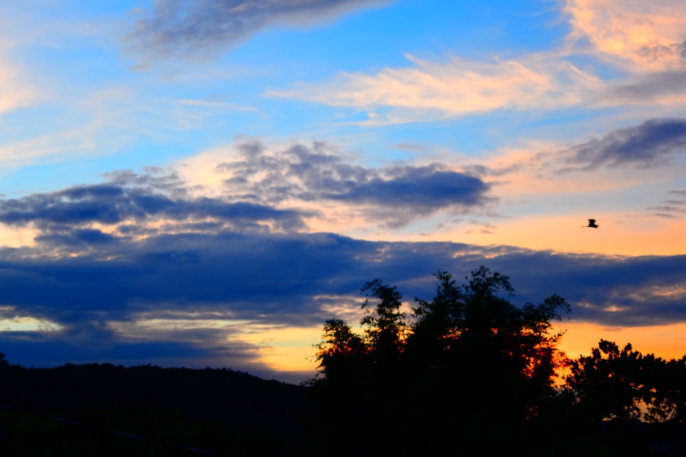 silhouette of trees under cloudy sky during sunset