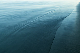 body of water during daytime