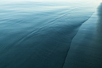 body of water during daytime