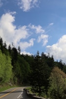 A scenic highway winding through lush green forests under a clear sky.