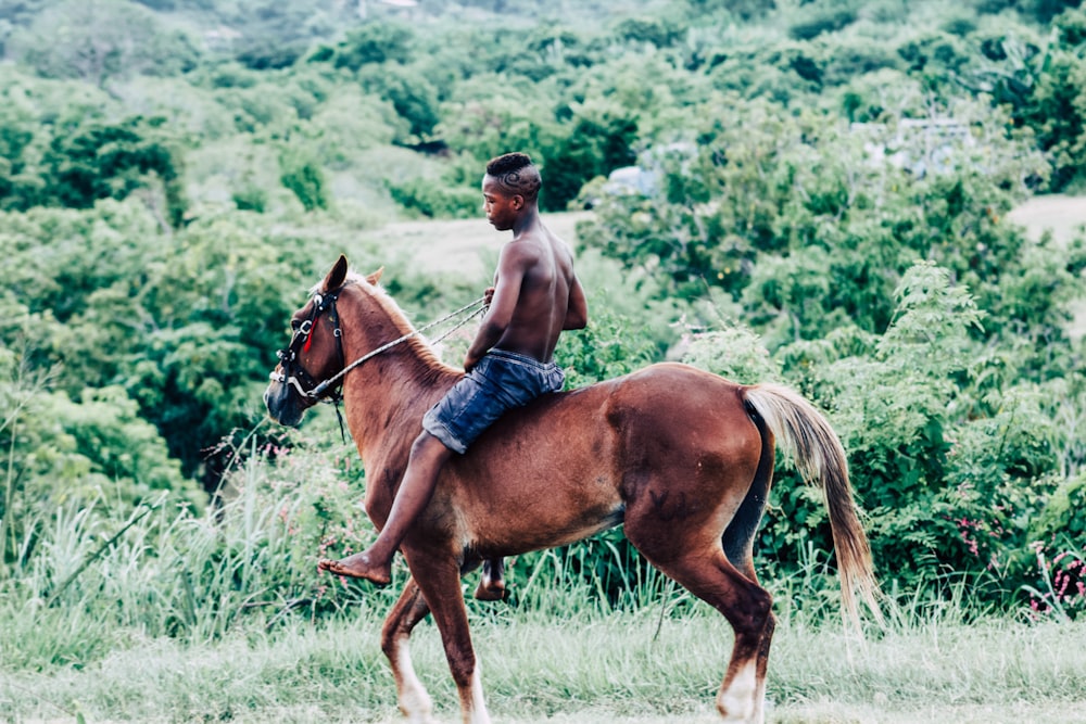 uomo in camicia blu equitazione cavallo marrone durante il giorno
