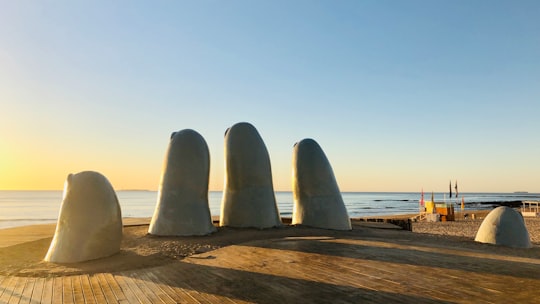 gray stone on brown wooden table near body of water during daytime in La Mano de Punta del Este Uruguay
