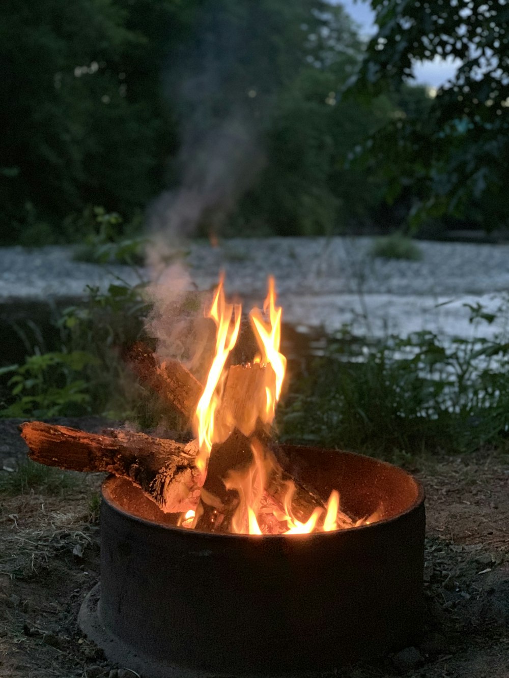 burning wood on fire pit