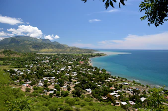 green trees near body of water under blue sky during daytime