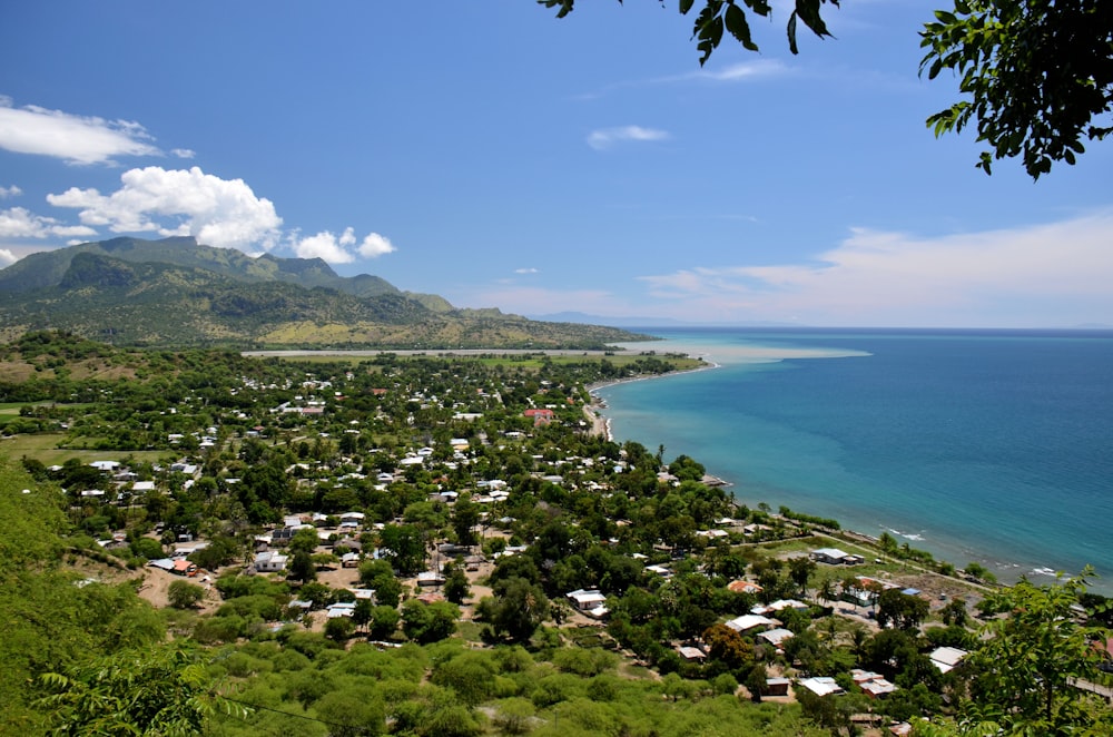 green trees near body of water under blue sky during daytime