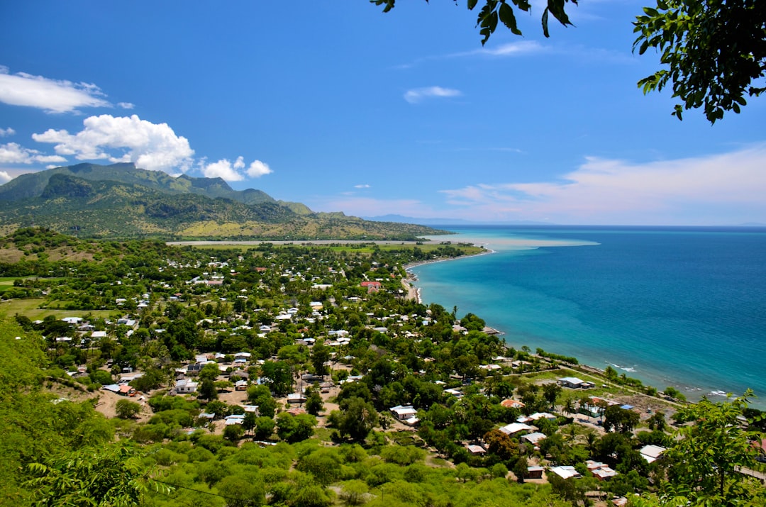 green trees near body of water under blue sky during daytime