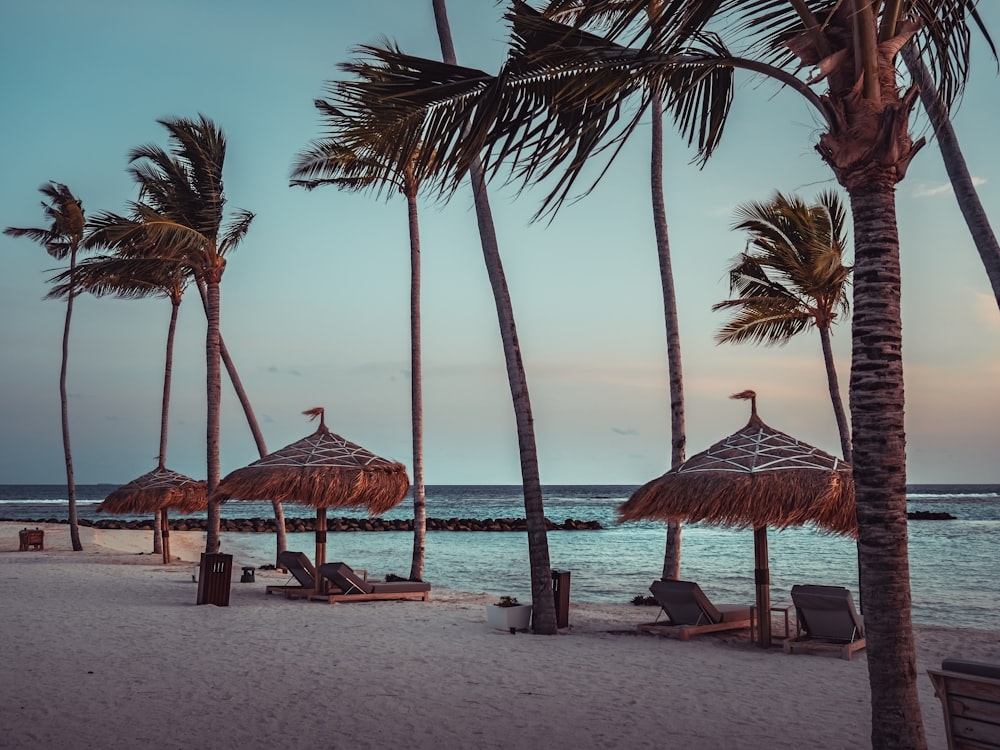 brown wooden beach lounge chair on beach during daytime