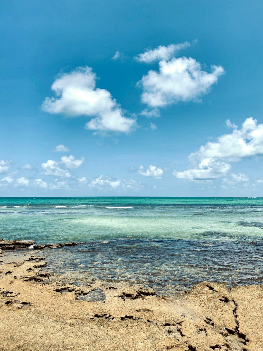 Beach photo spot Atlantic Ocean Recife - PE