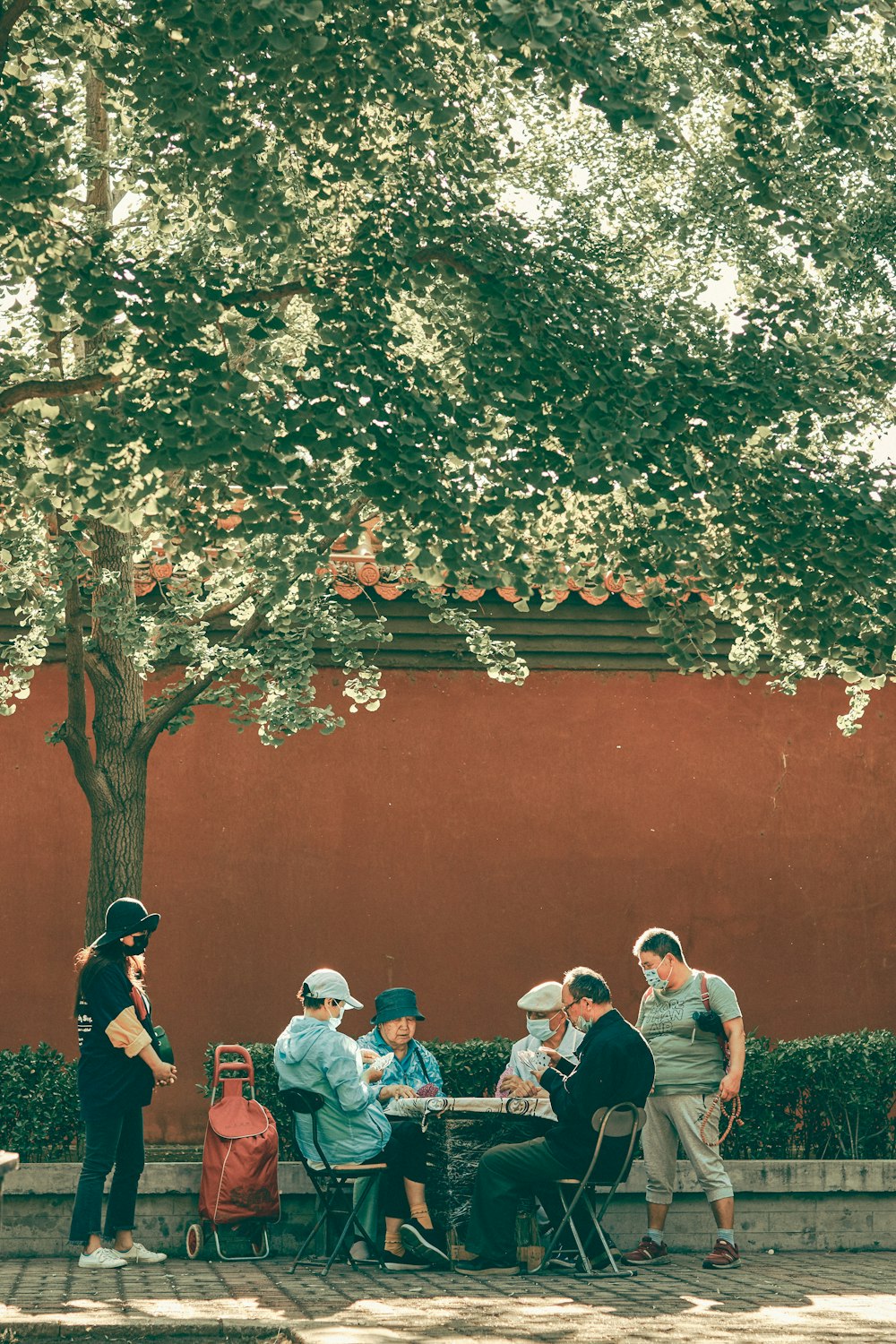 people sitting on bench near brown concrete wall during daytime