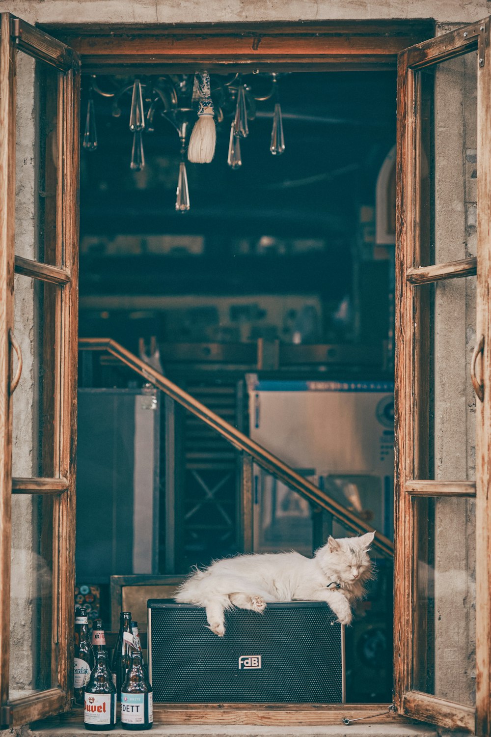 white fur on brown wooden frame