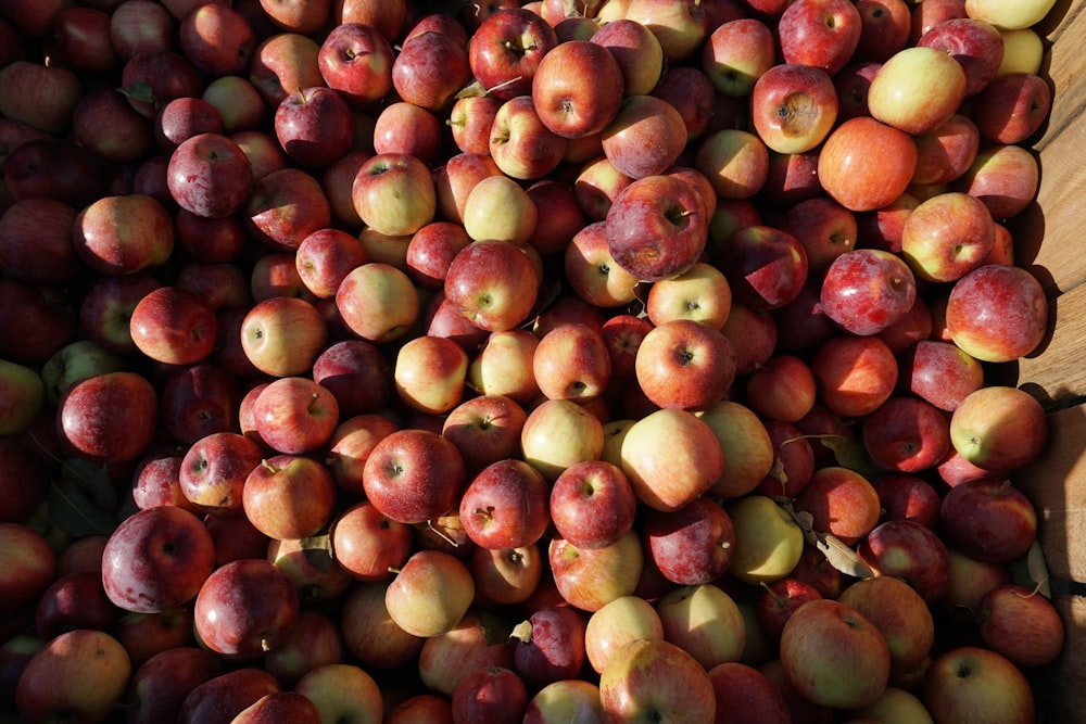 red and brown round fruits