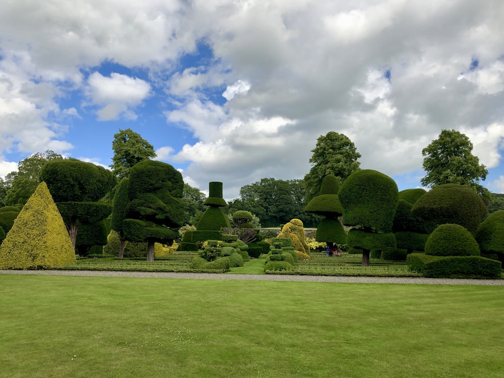 green grass field with trees under white clouds and blue sky during daytime