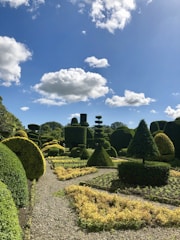 A skilled gardener trimming a lush green hedge under a bright blue sky.