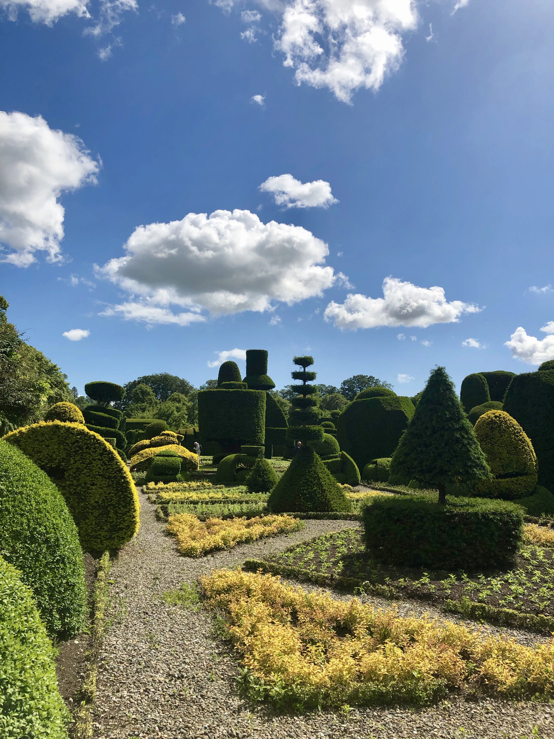 A professional gardener trimming a vibrant, neatly shaped hedge under a clear blue sky.