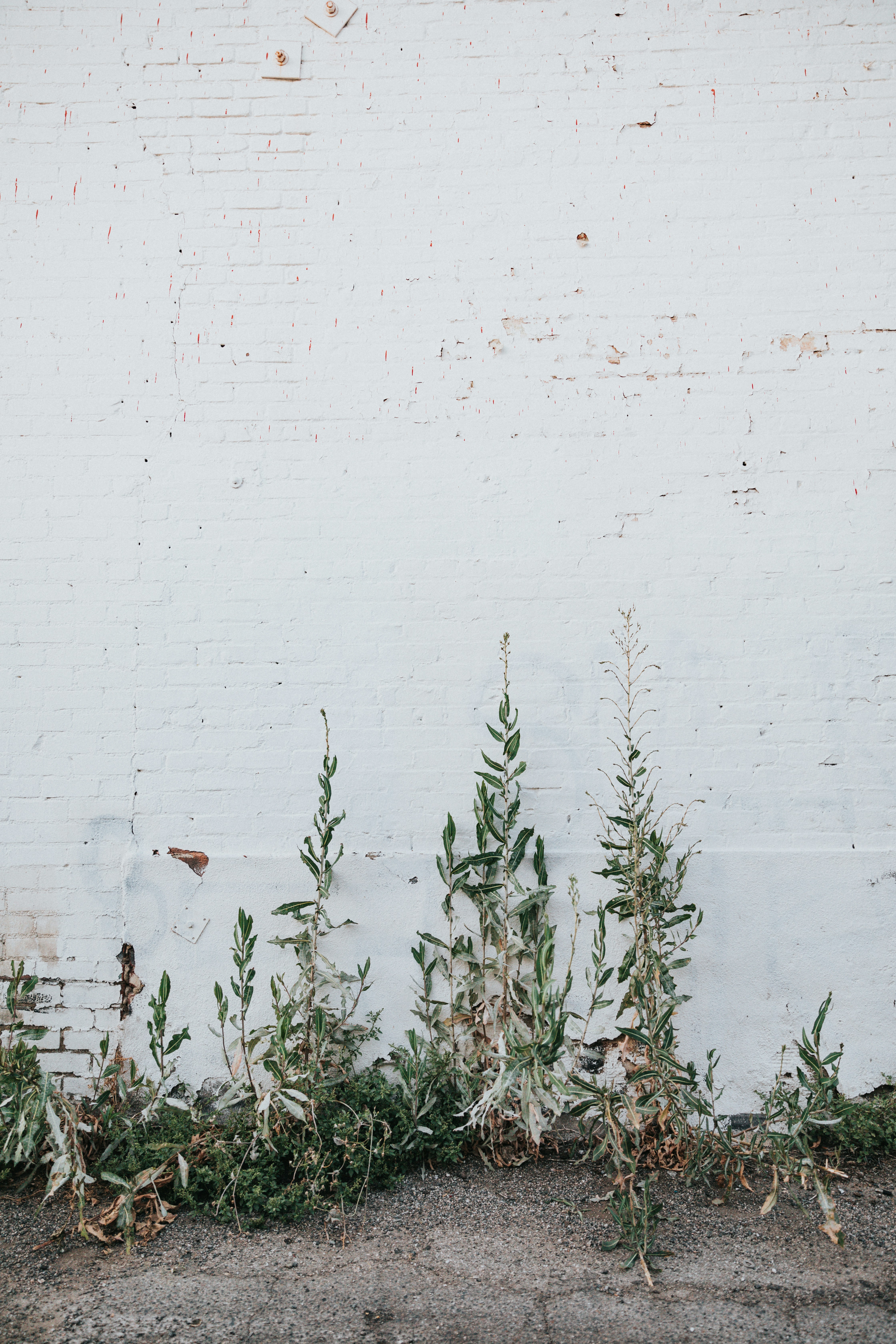 Photo by nate_dumlao