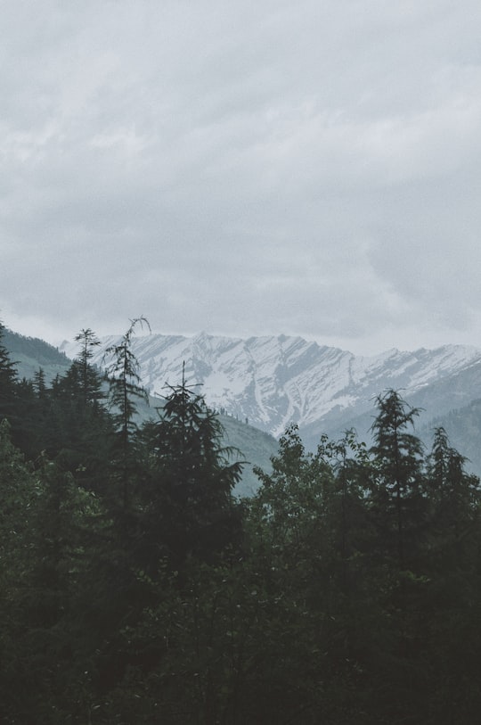 green trees near snow covered mountain during daytime in Manali India