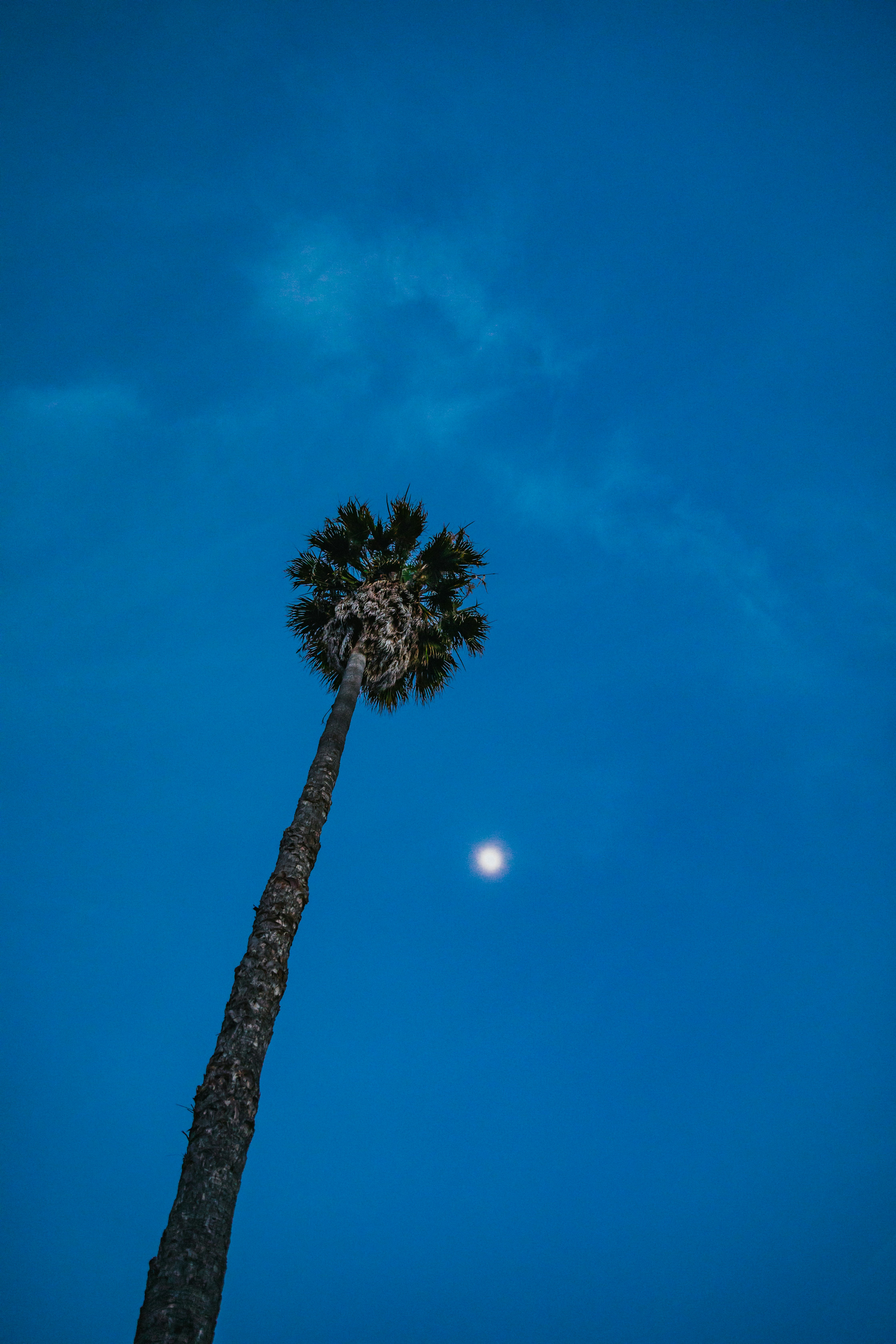 Photo by nate_dumlao