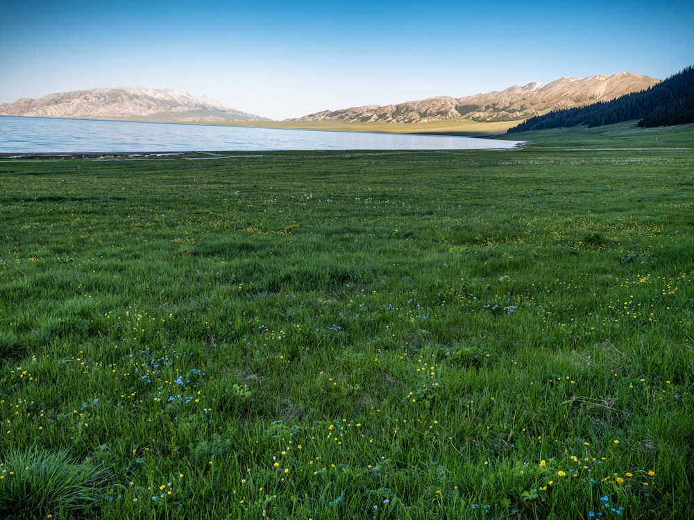 campo de grama verde perto da montanha marrom sob o céu azul durante o dia