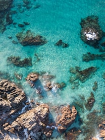 brown and black rocks on body of water