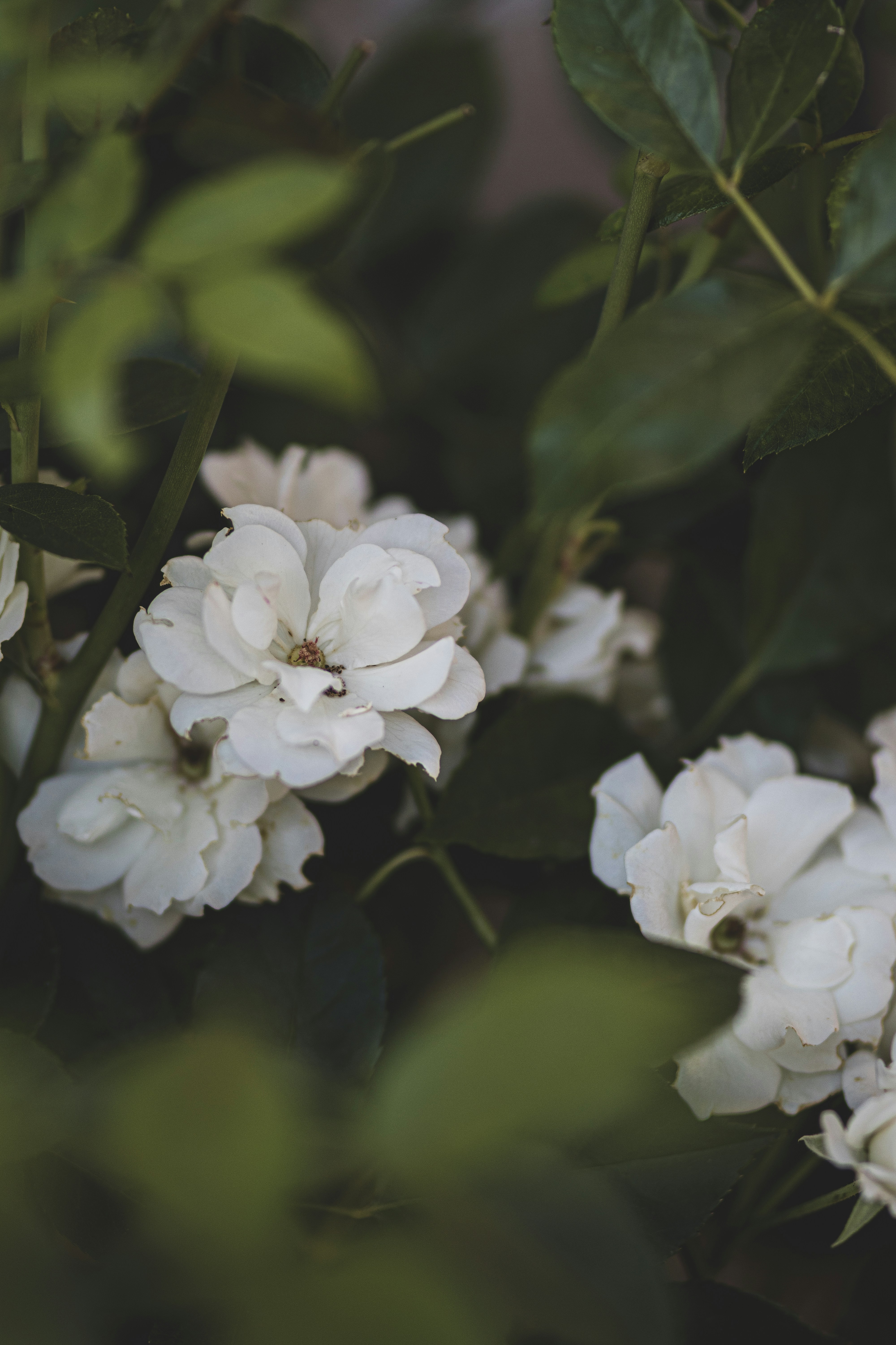 Photo by courtneysmith