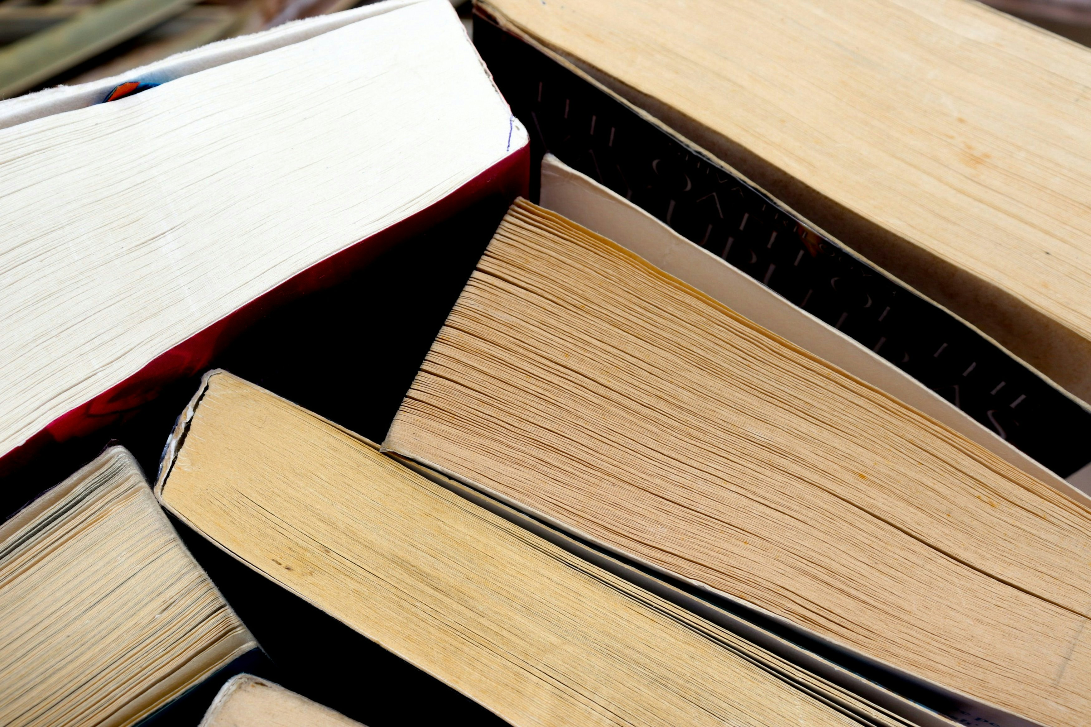 Photo by tasmay_shikha_rachhadia