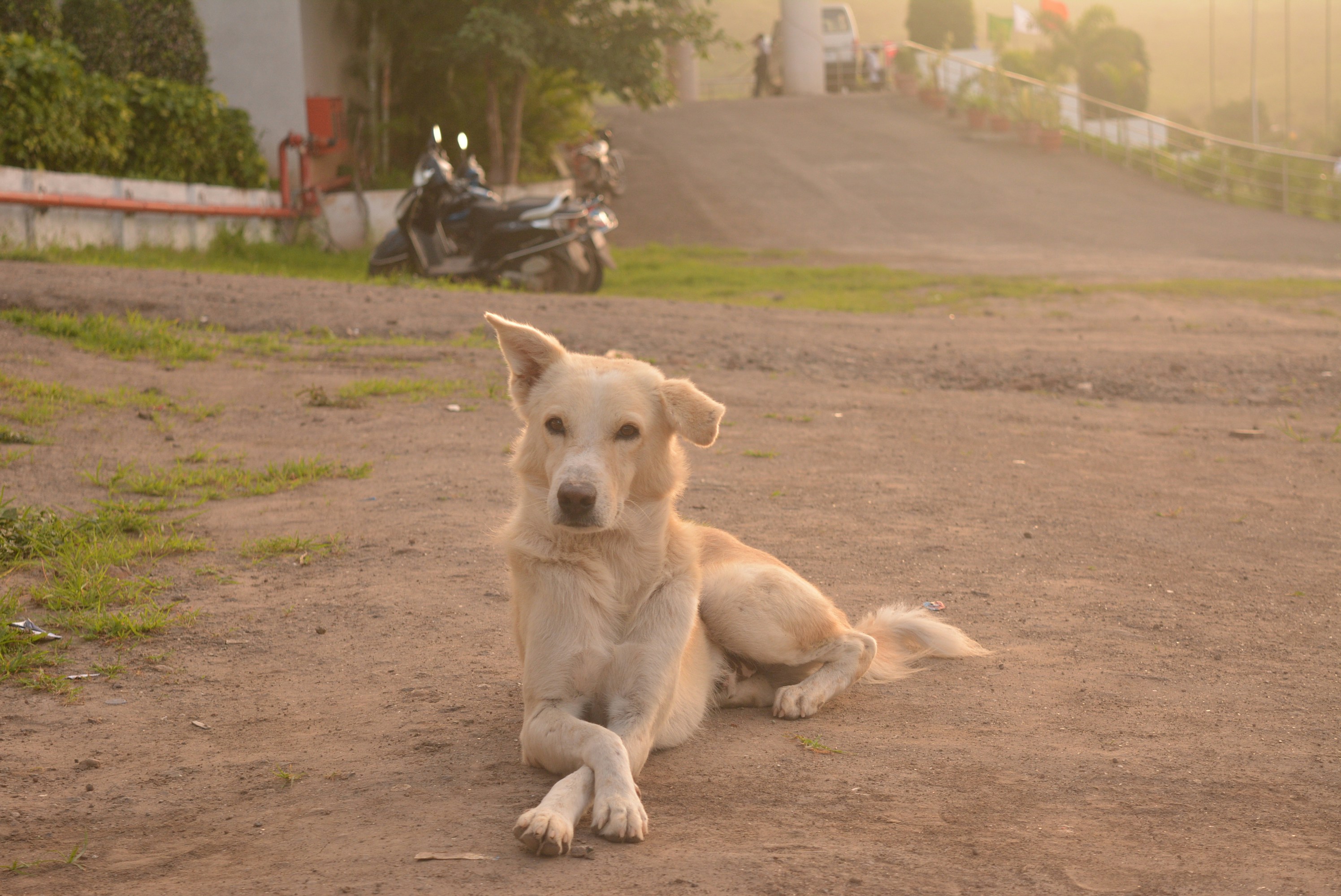 Photo by akshayrajgor