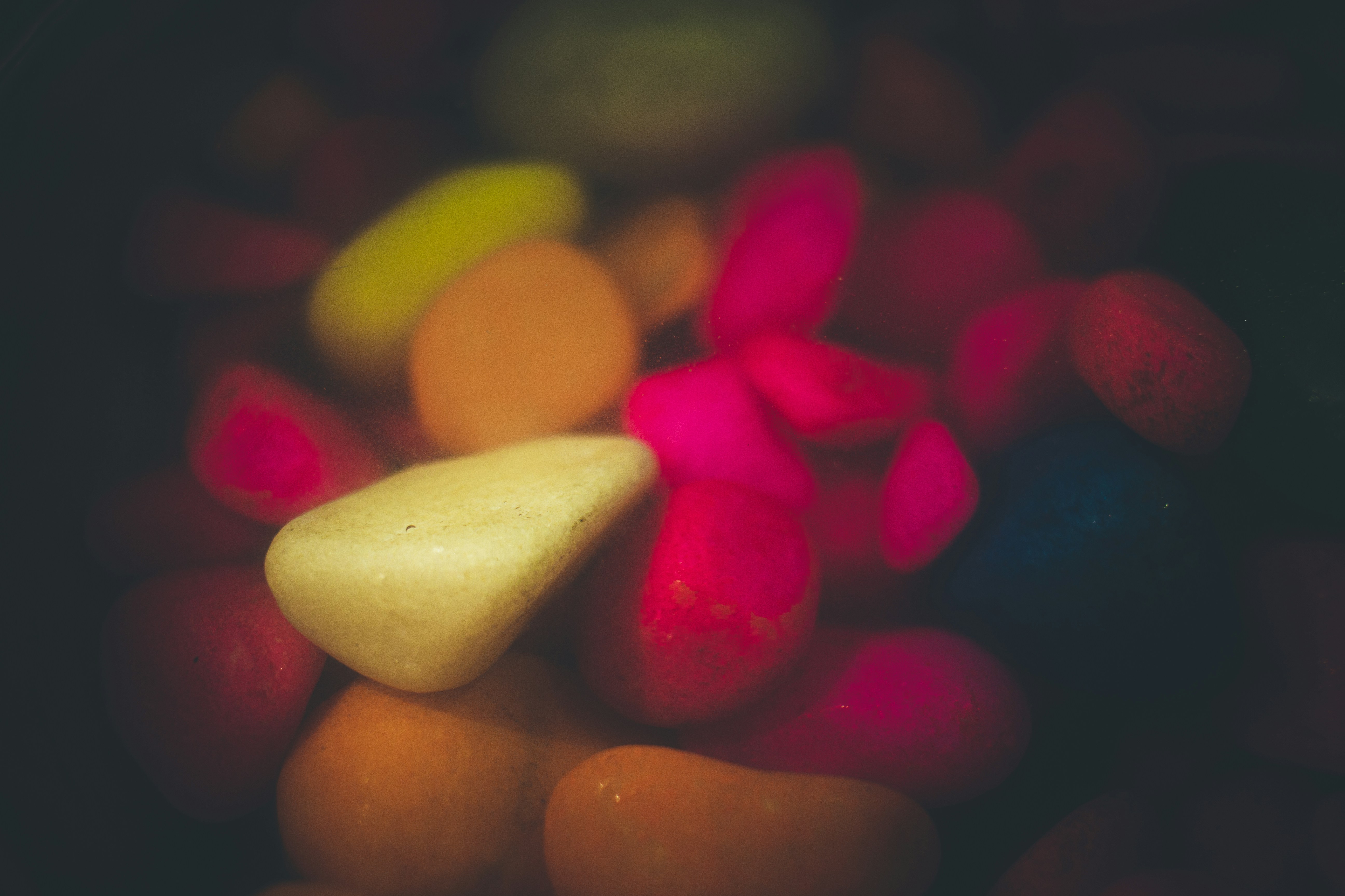 Photo by wildandbeyondbyvivek