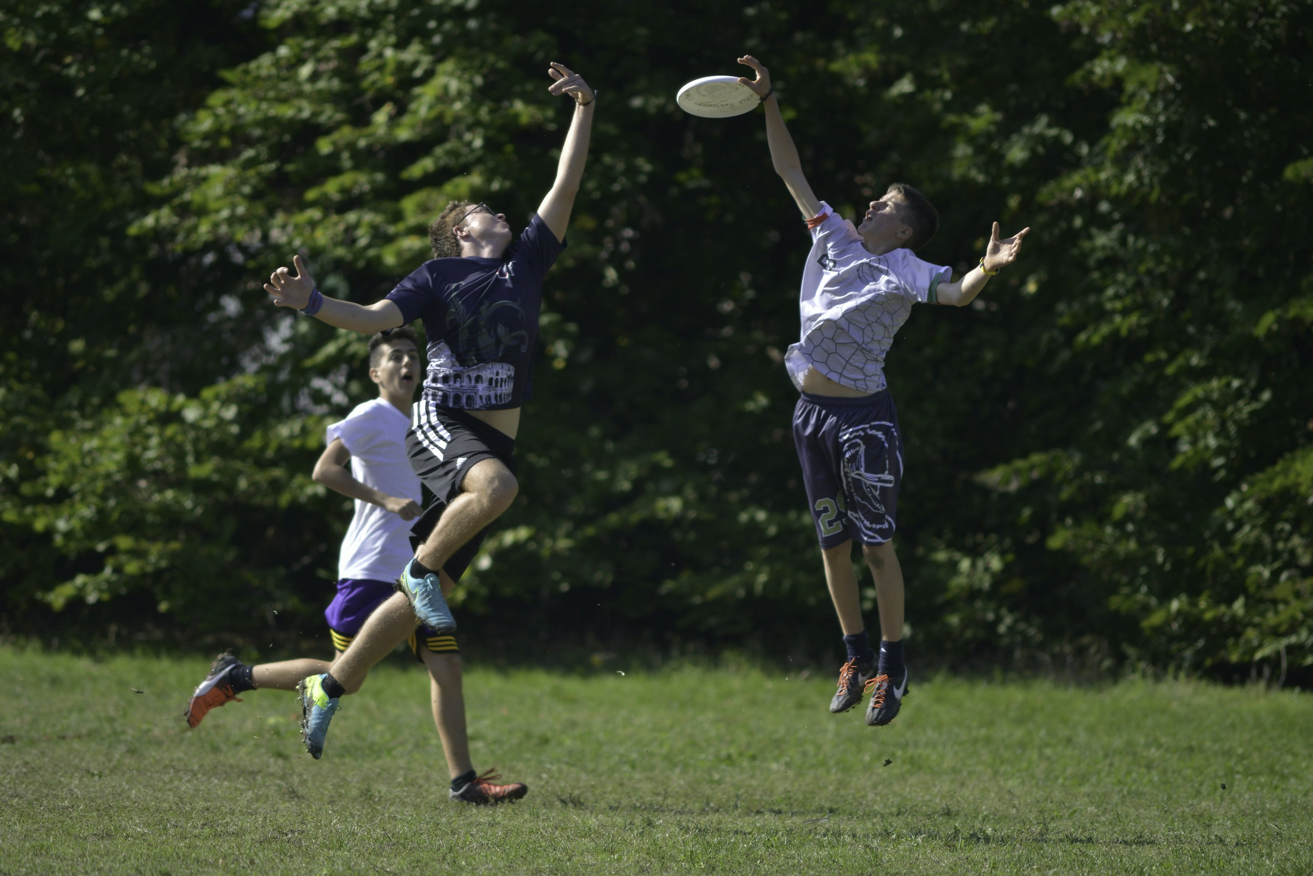 Sinis bendición Seleccione 2022 World Masters Ultimate Frisbee Championships coming to Limerick